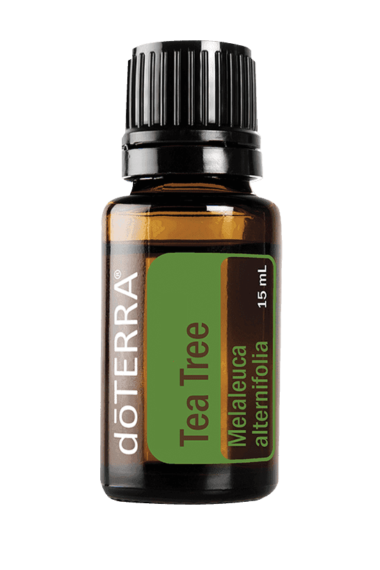 Tea Tree